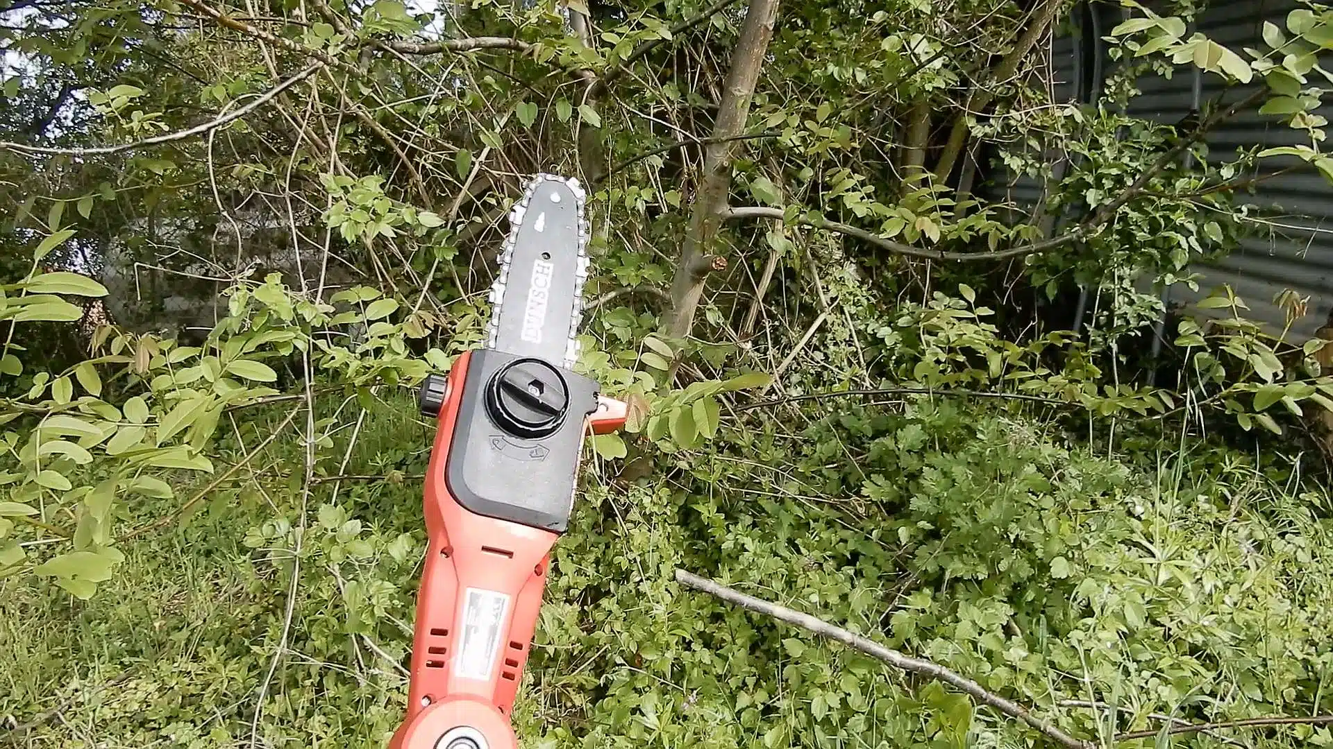 Potatore telescopico a batteria Dunsh