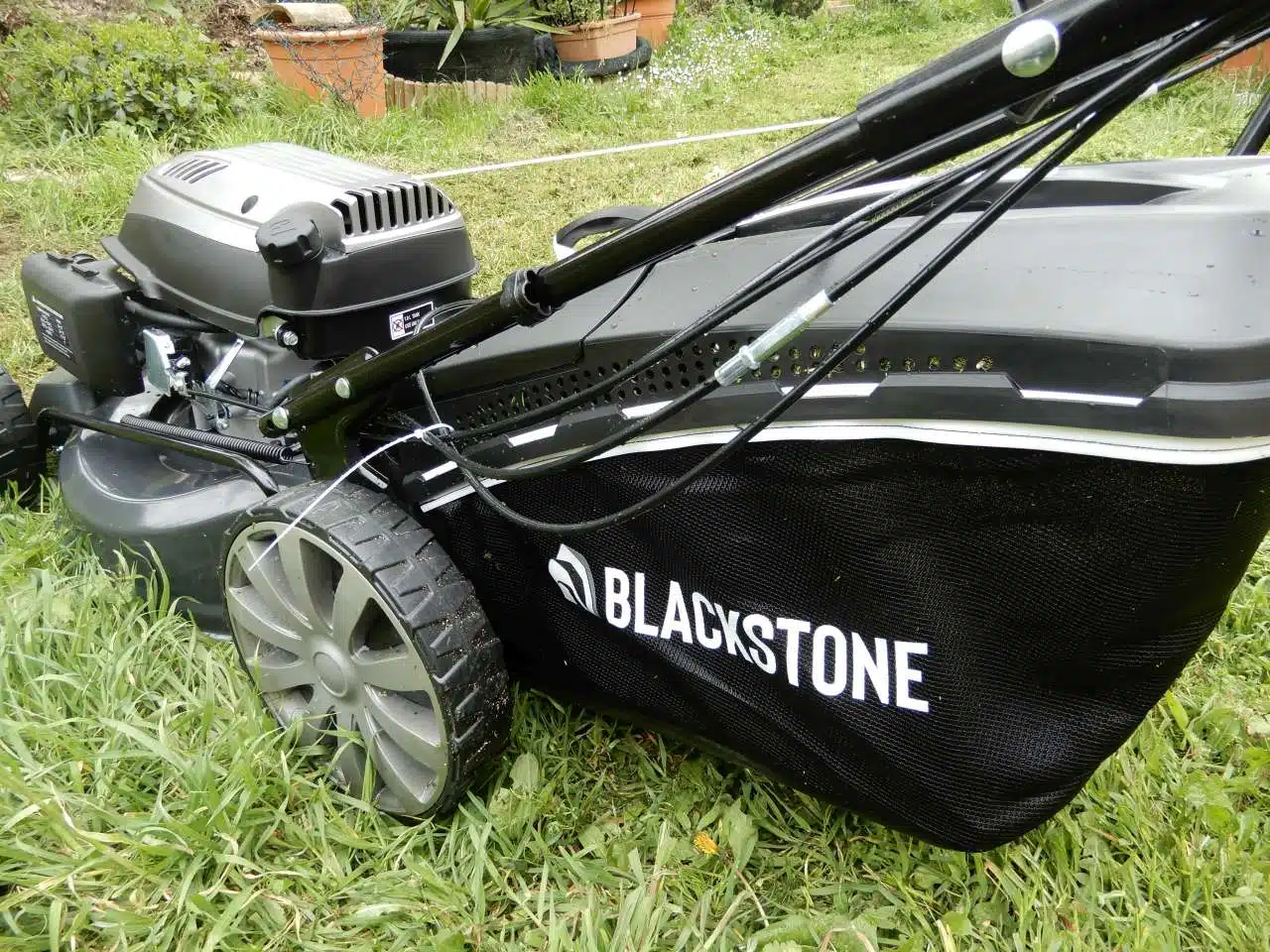 asaerba Blackstone SP530 Deluxe