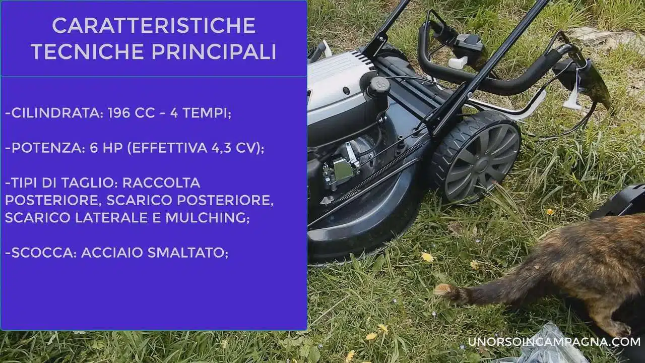 Rasaerba Blackstone SP530 Deluxe - caratteristiche tecniche