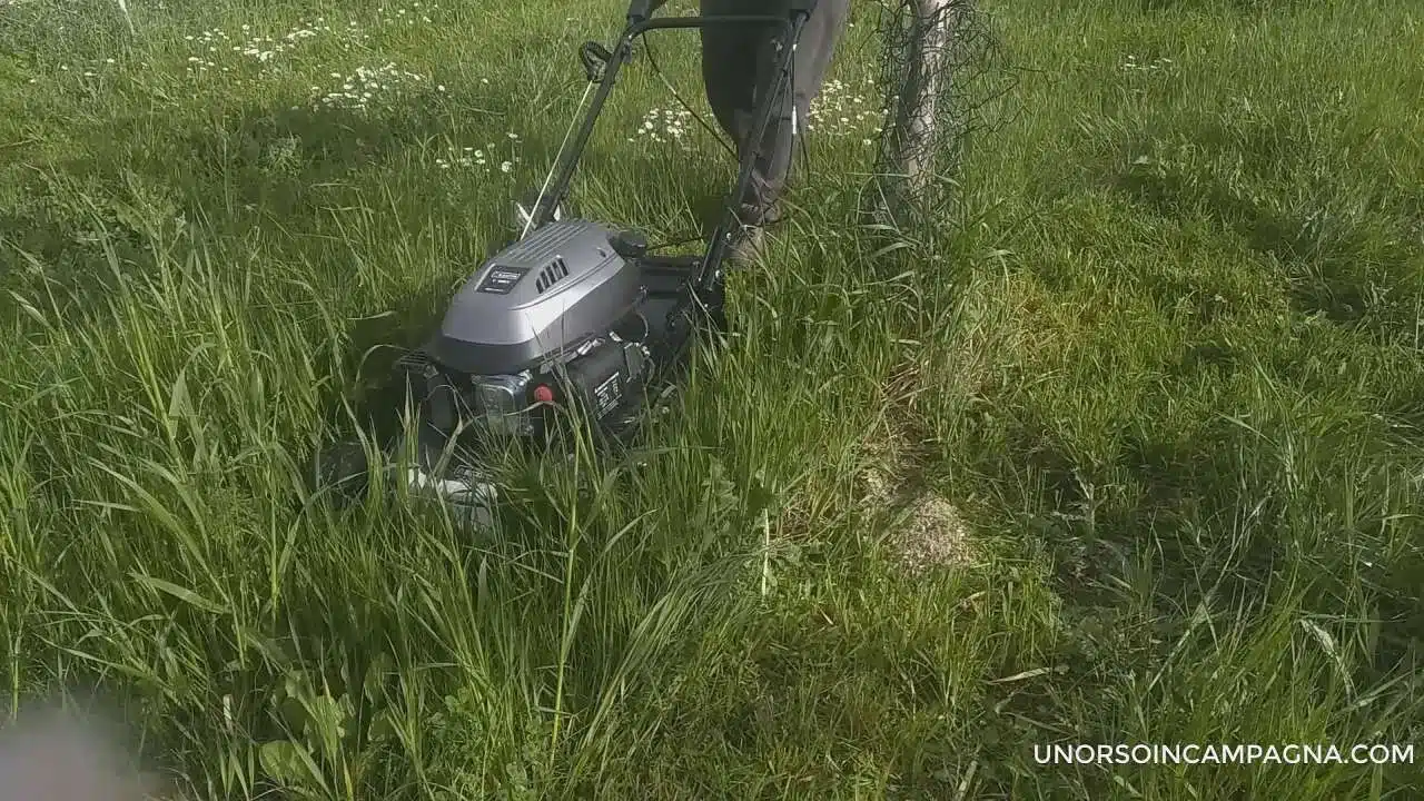 Quale rasaerba acquistare. 3 motorizzazioni 15 Rasaerba Blackstone SP530 Deluxe - taglio erba mulching