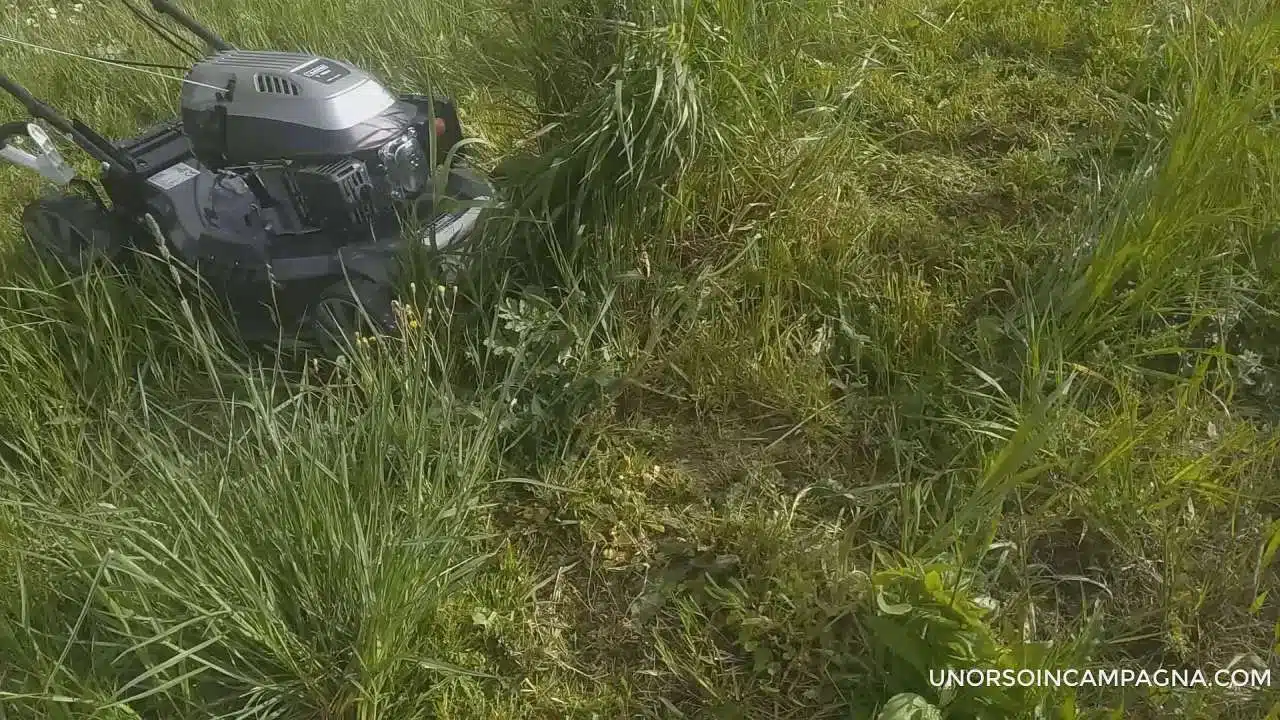 Rasaerba Blackstone SP530 Deluxe - taglio erba mulching