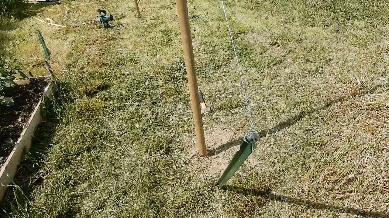 contropalo per struttura dei pomodori