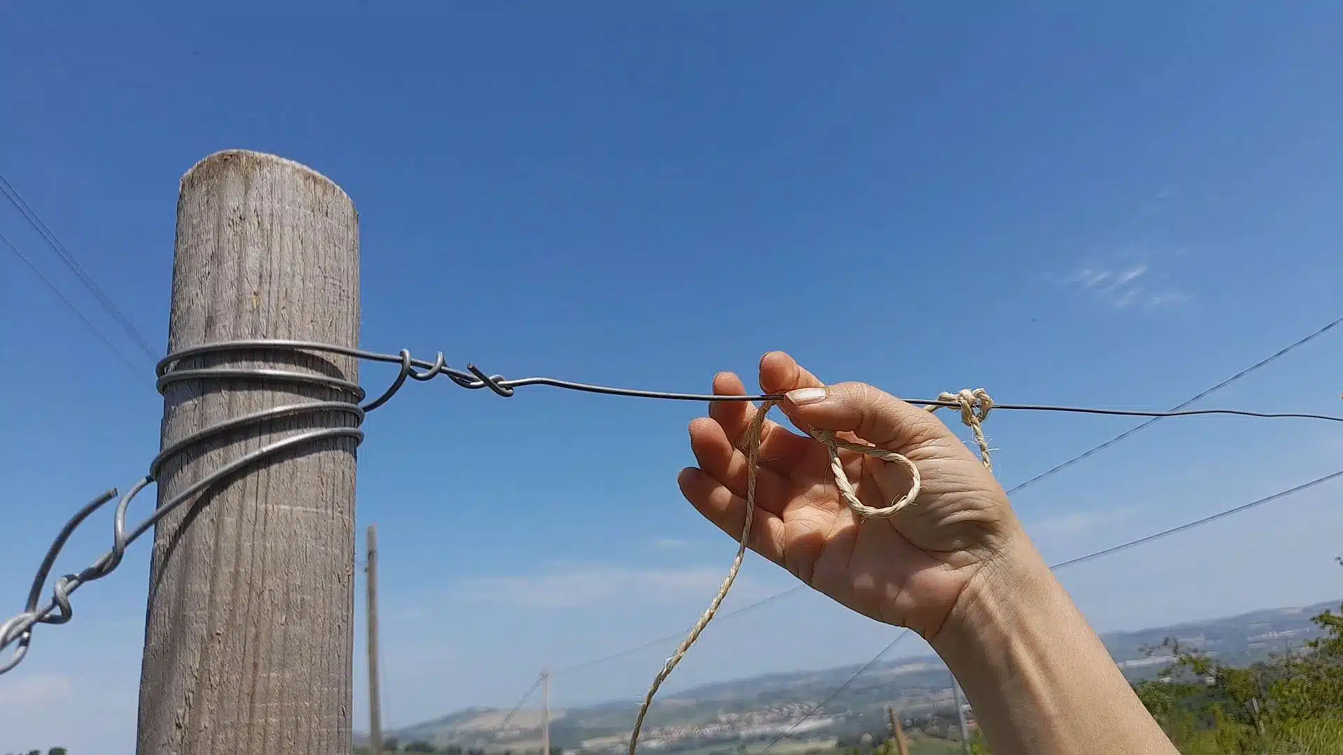 nodo per legare i pomodori con il filo
