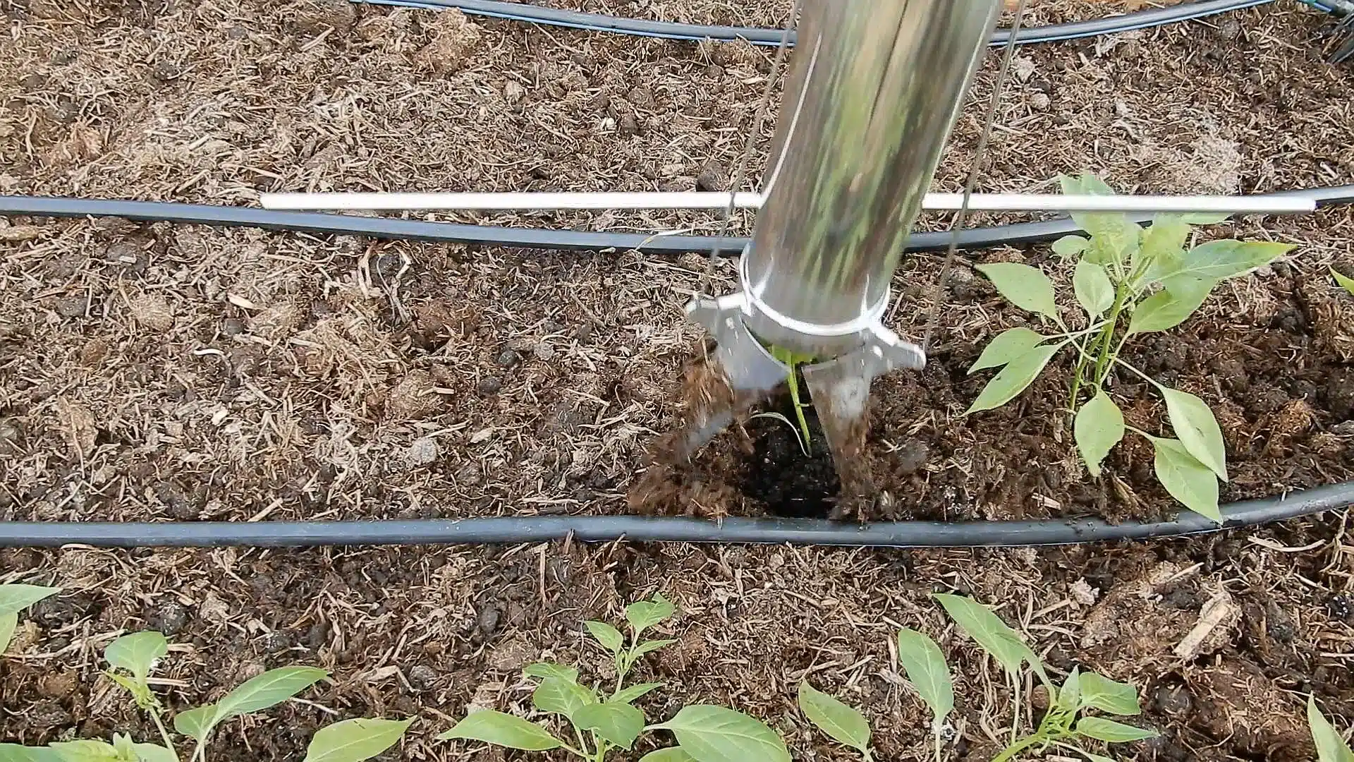 Piantatore per le piantine Abrek