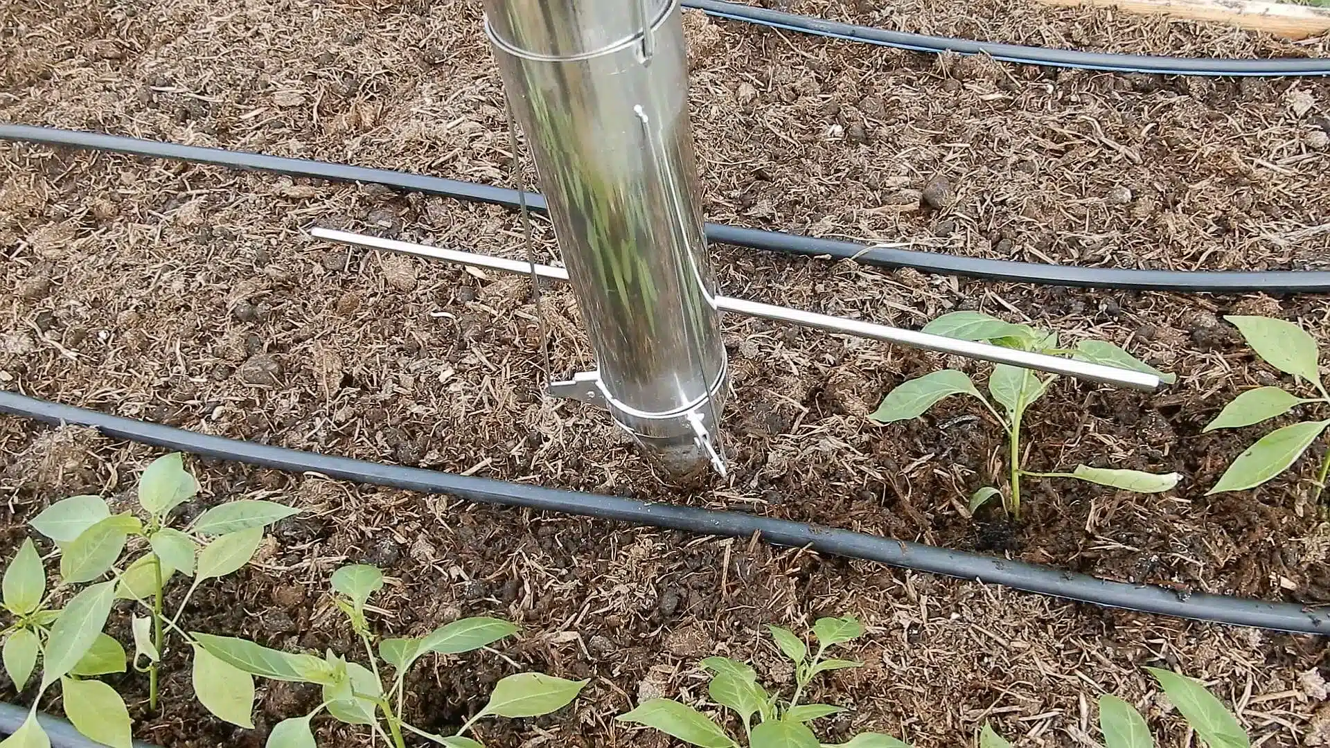 Piantatore per le piantine Abrek