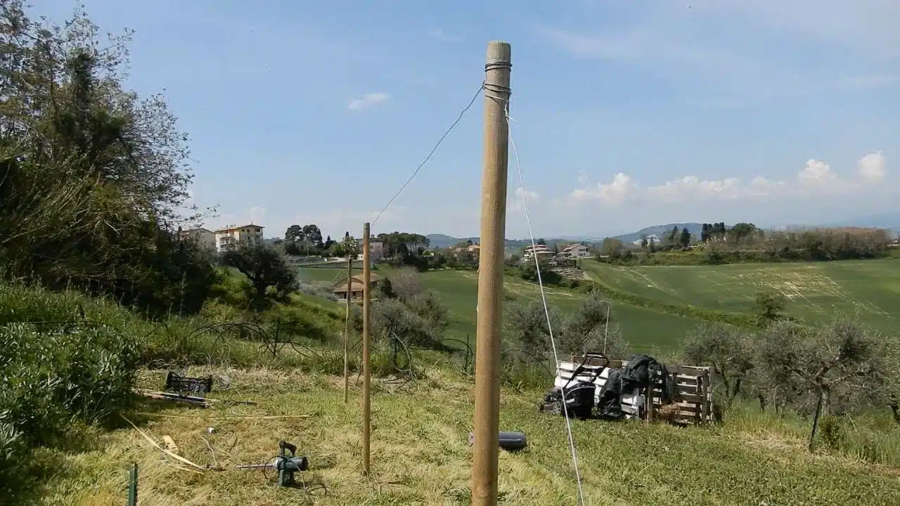 struttura per legare i pomodori con il filo-pali di legno