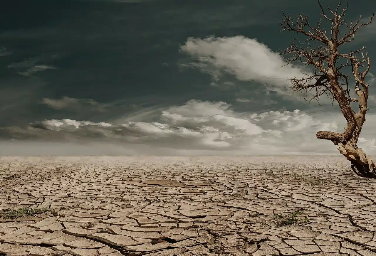 Come combattere la siccità ed il caldo nell'orto - deserto