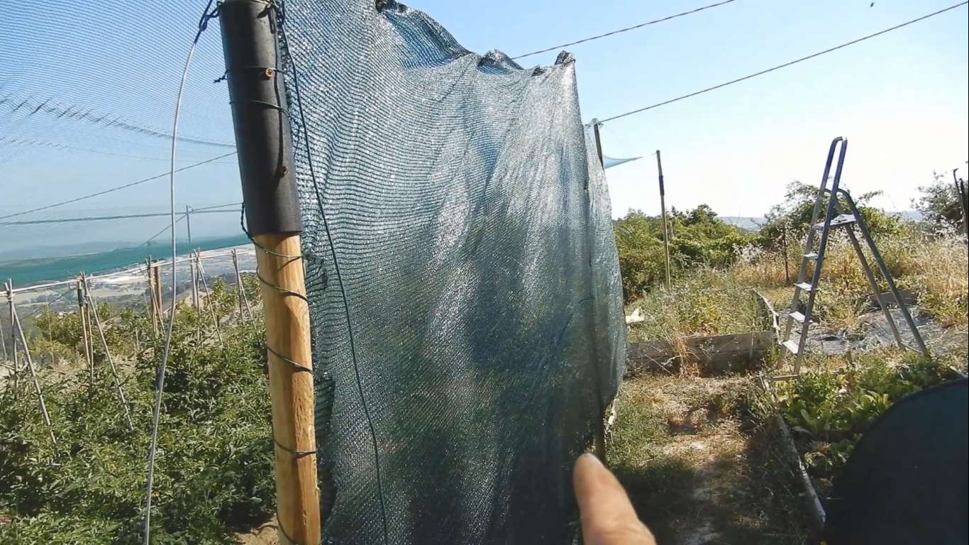 Come combattere la siccità ed il caldo nell'orto - reti ombreggianti