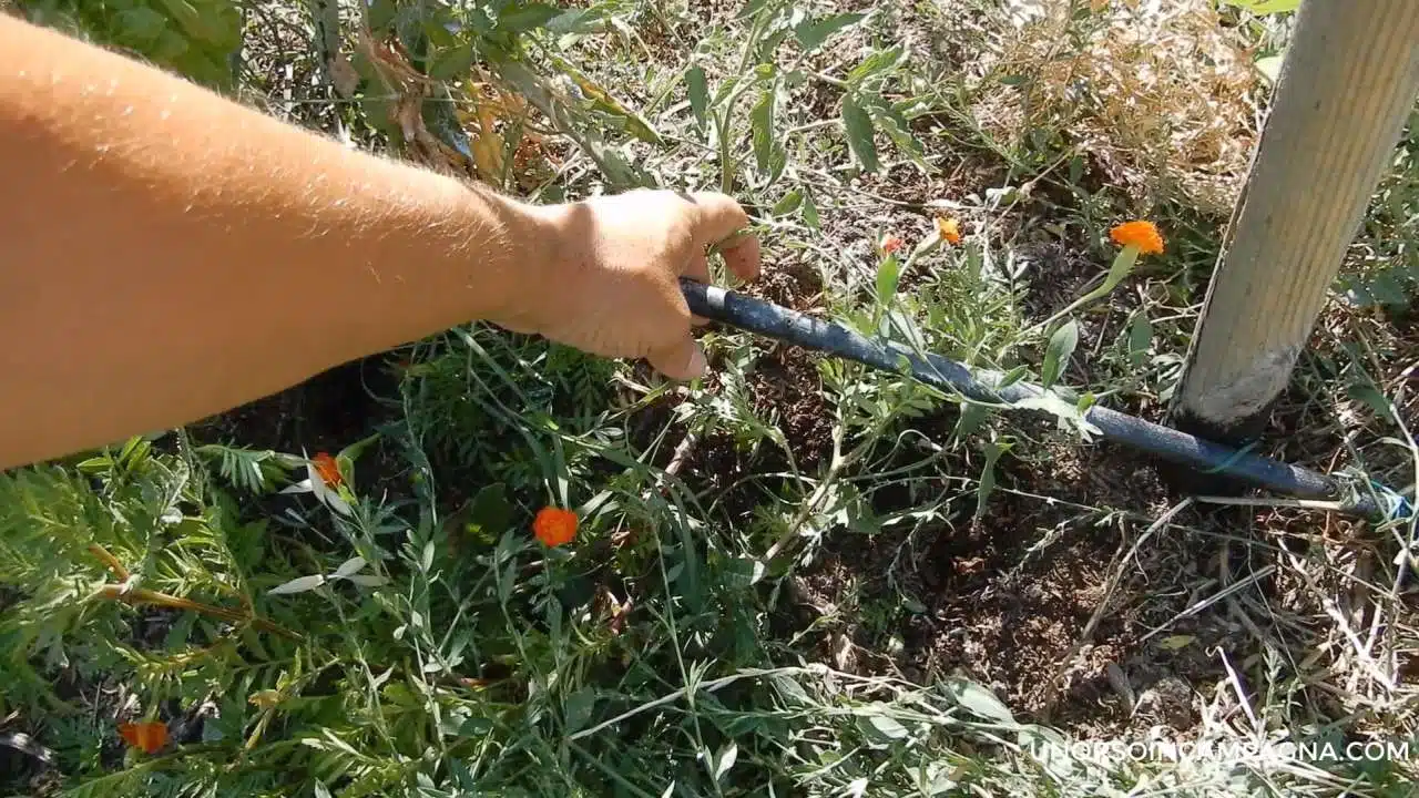 quando e quanto annaffiare l'orto-irrigazione a goccia
