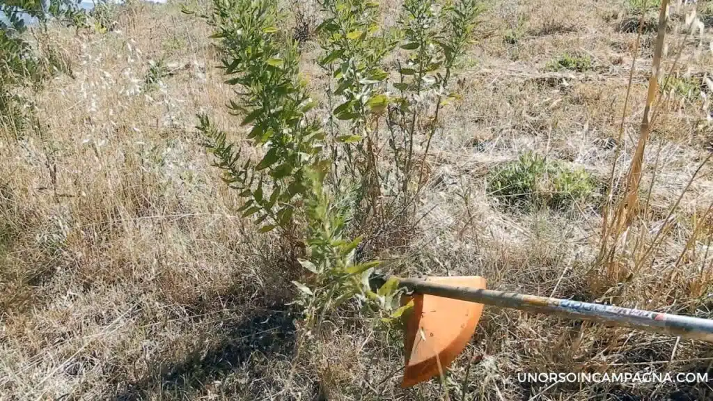 testina-Rambo-decespugliatore