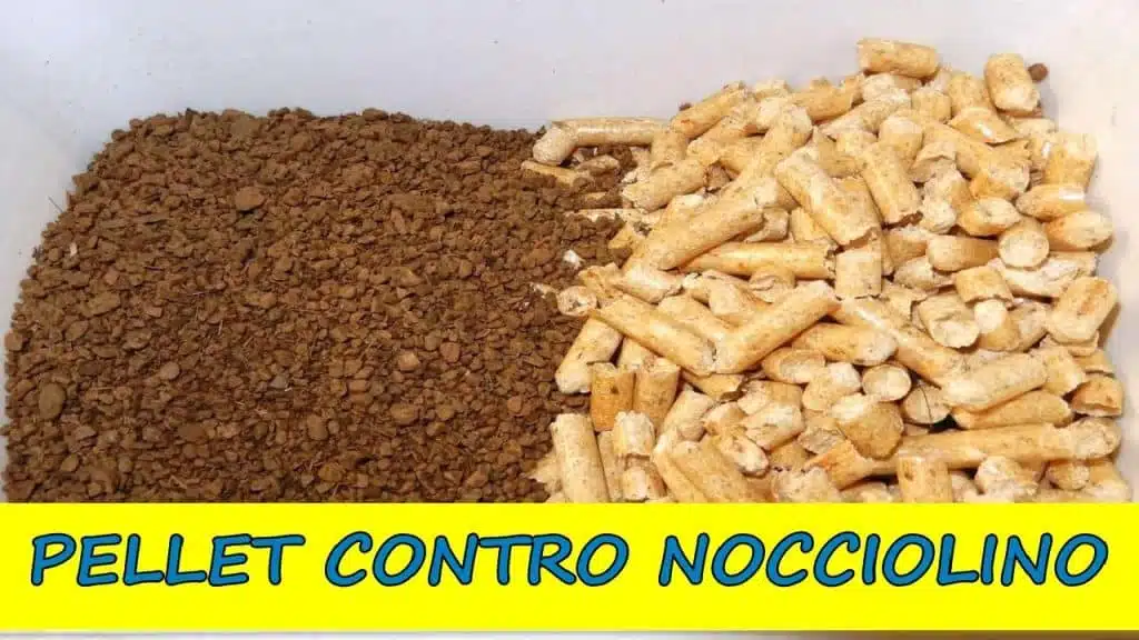 Come usare il nocciolino al posto del pellet 5 Bruciare nocciolino al posto del pellet - nocciolino e pellet