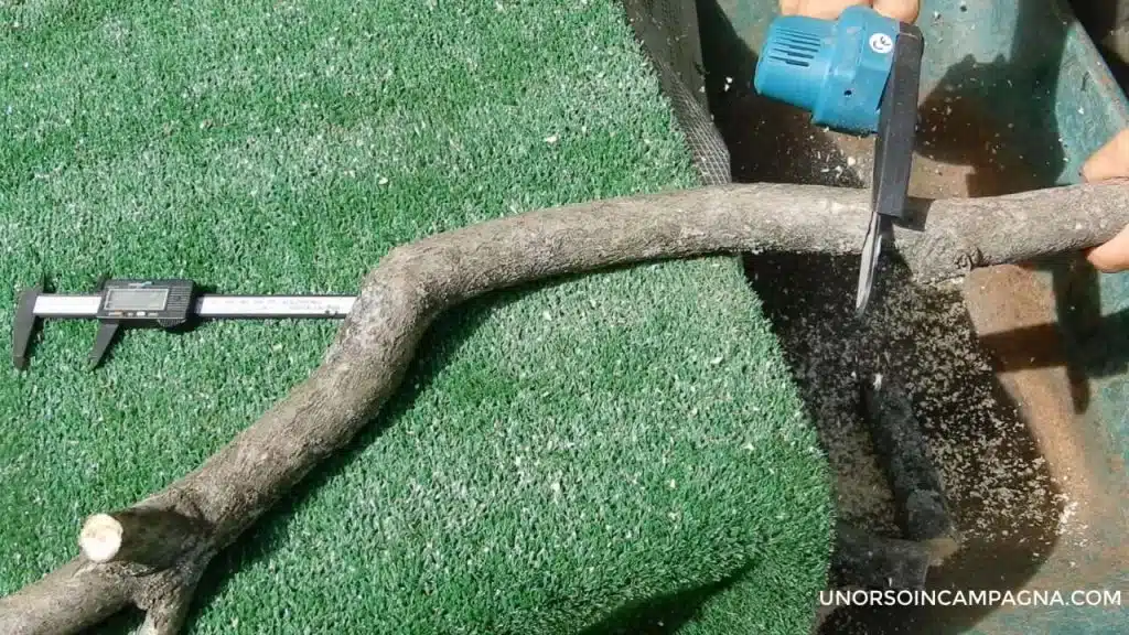 Motosega manuale - Potatore a batteria