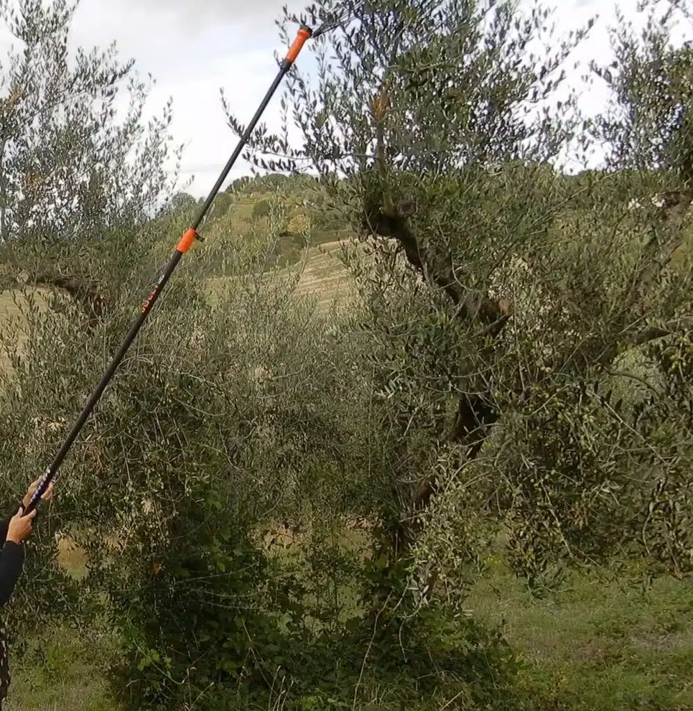 Test Abbacchiatore Jolly Italia V34