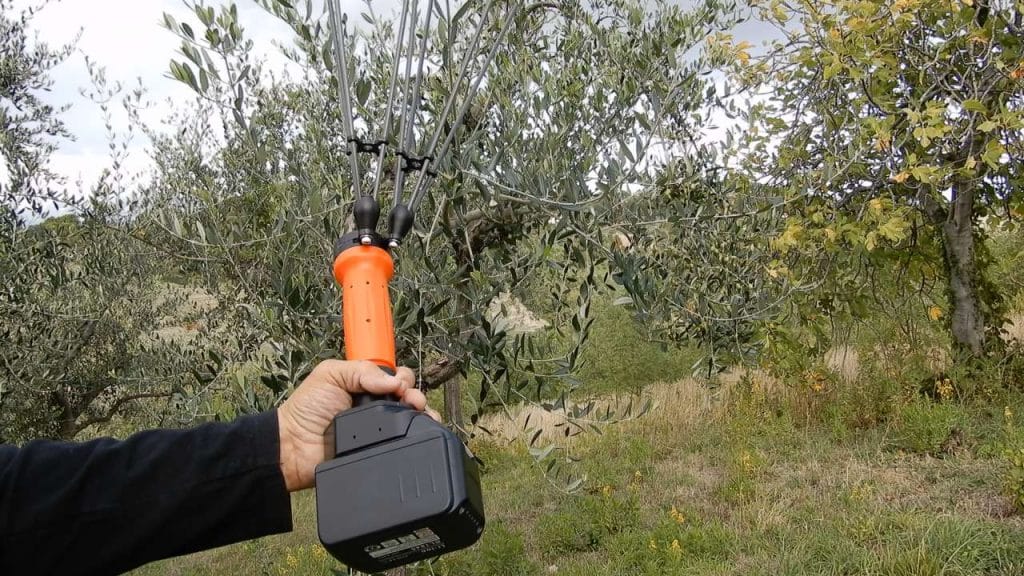 Test Abbacchiatore Jolly Italia V34