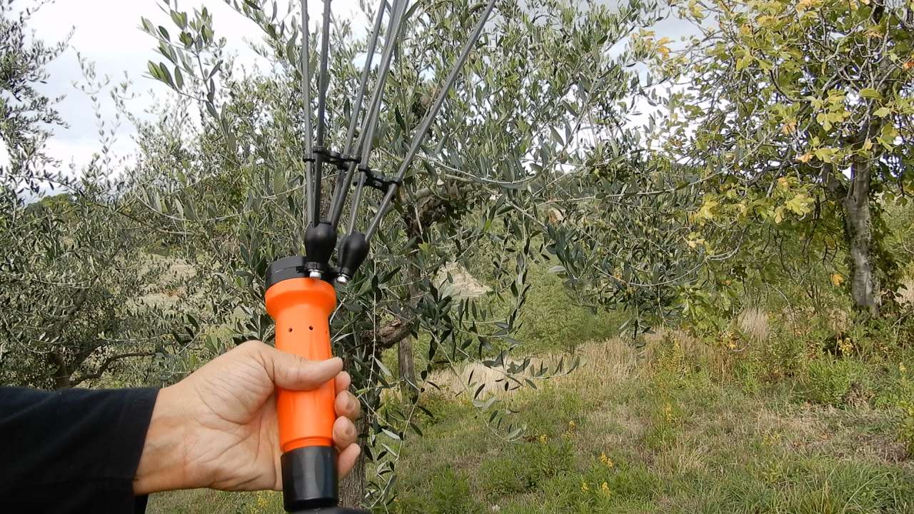 Abbacchiatore Jolly V34 5