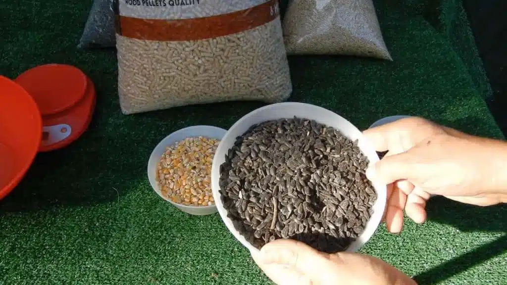 Test biomassa al posto del pellet - semi di girasole