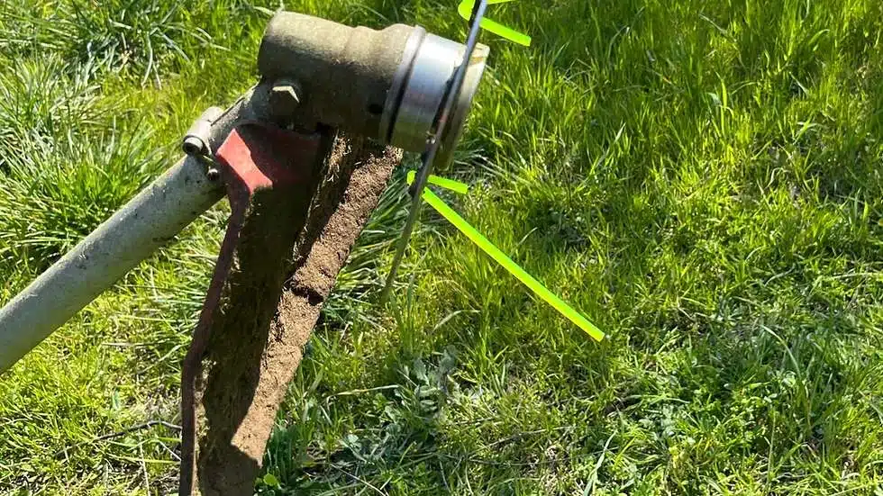 Come pulire intorno agli alberi - testina per decespugliatore Carosello di Officine Razzi