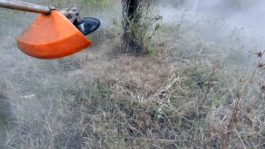 Come pulire intorno agli alberi - testina per decespugliatore Carosello di Officine Razzi