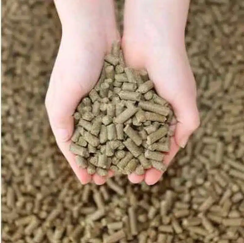 pellet di canapa 4