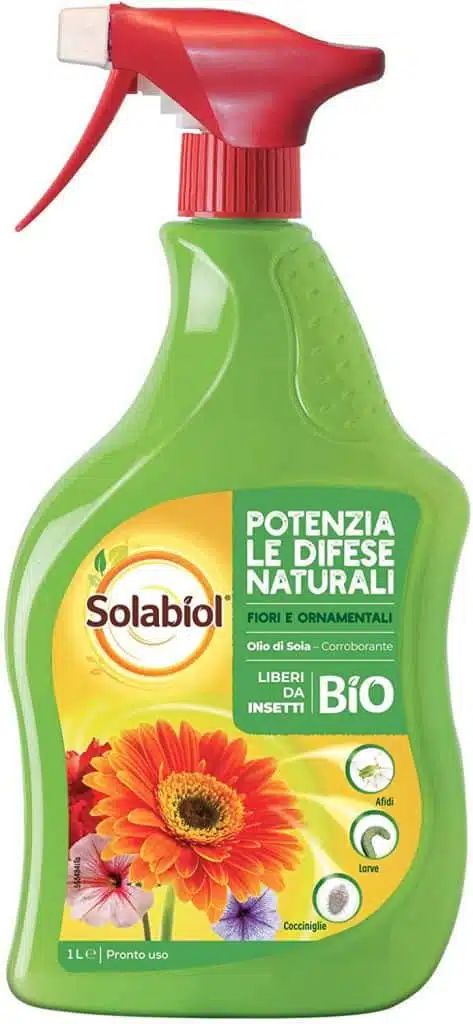 Come eliminare la Cocciniglia cotonosa dalle piante (+video) 4 Come eliminare la Cocciniglia cotonosa dalle piante - olio bianco