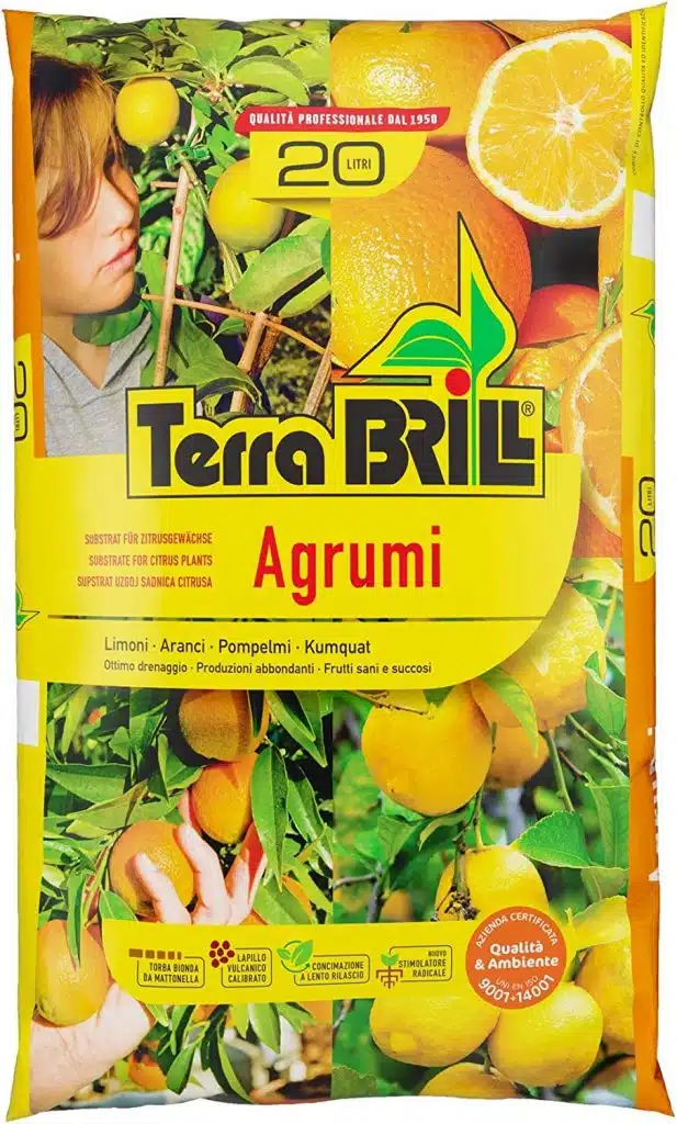 Agrumi in vaso in inverno: freddo, concimazione e pacciamatura 9 Agrumi in vaso in inverno - Terriccio per agrumi