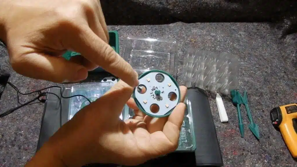 Mini serra di germinazione