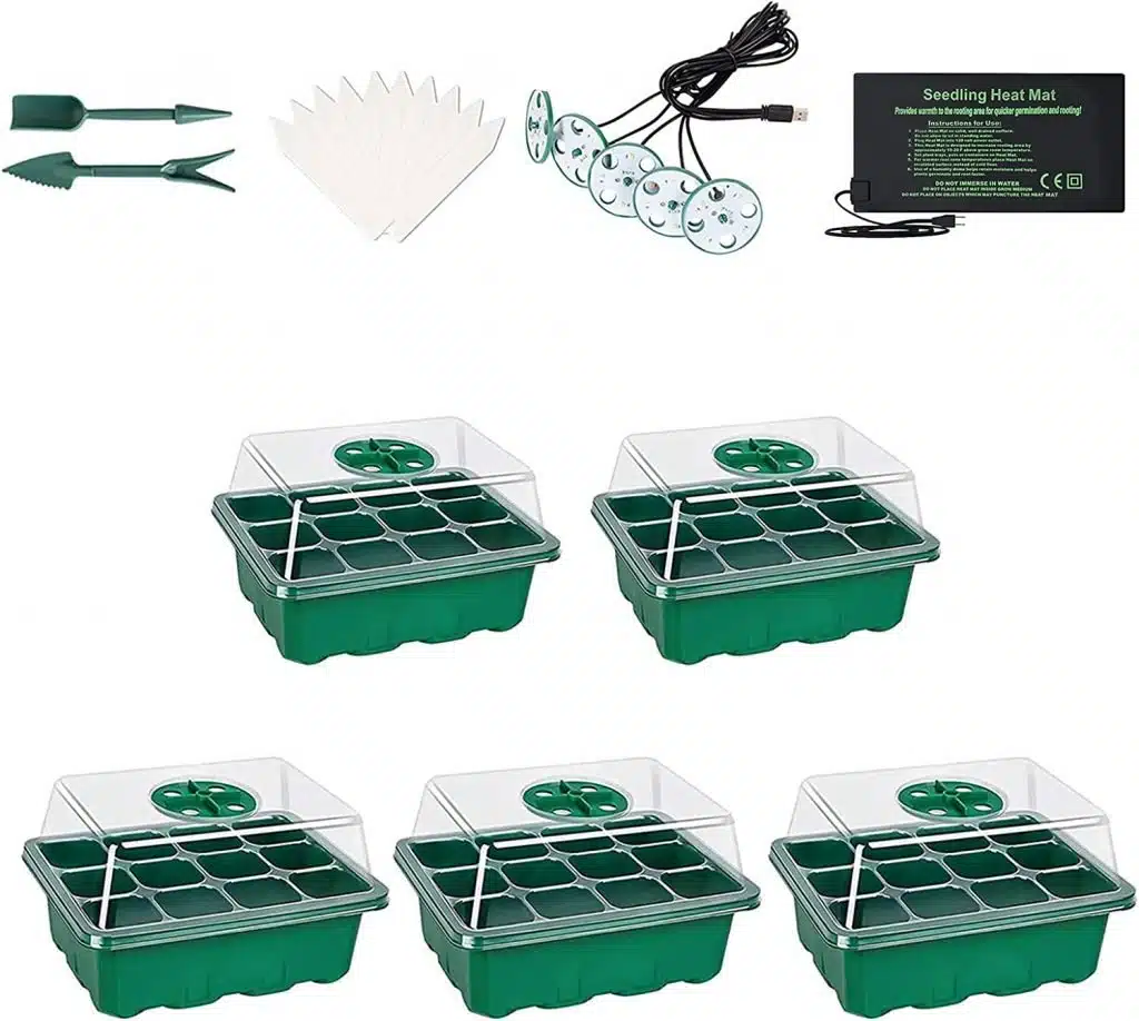 Mini serra di germinazione