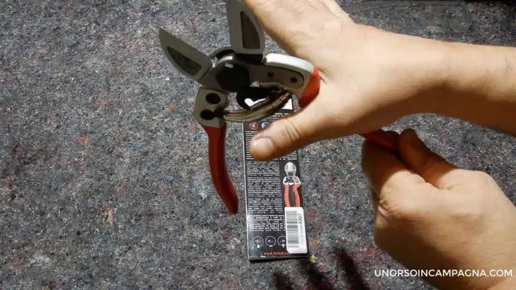 Forbici a doppio taglio 2012 EVO