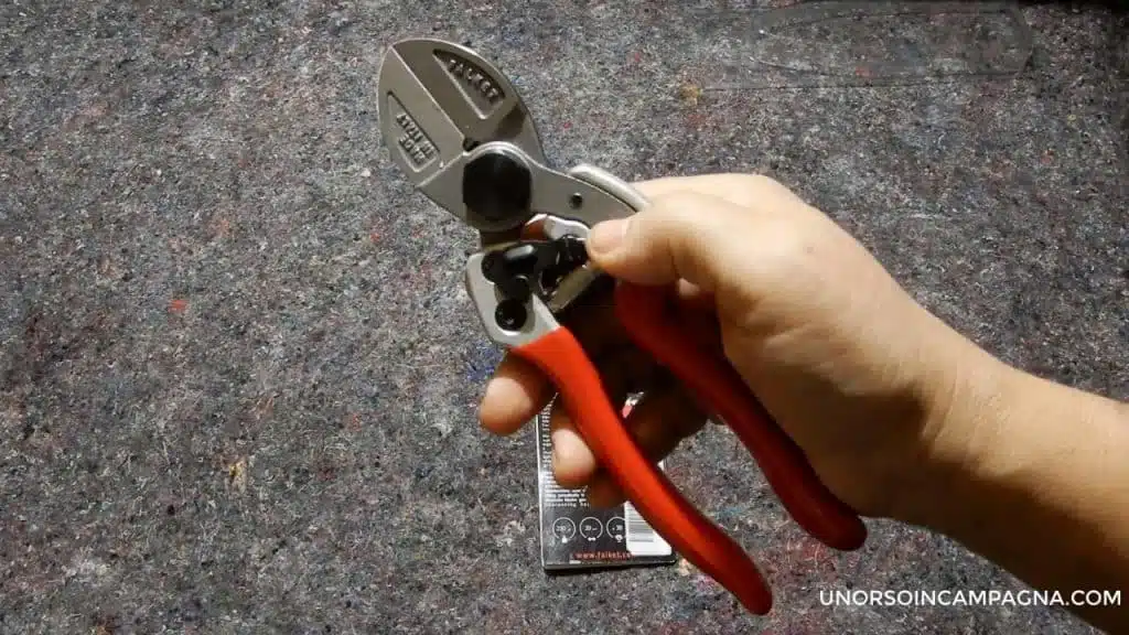 Forbici a doppio taglio 2012 EVO