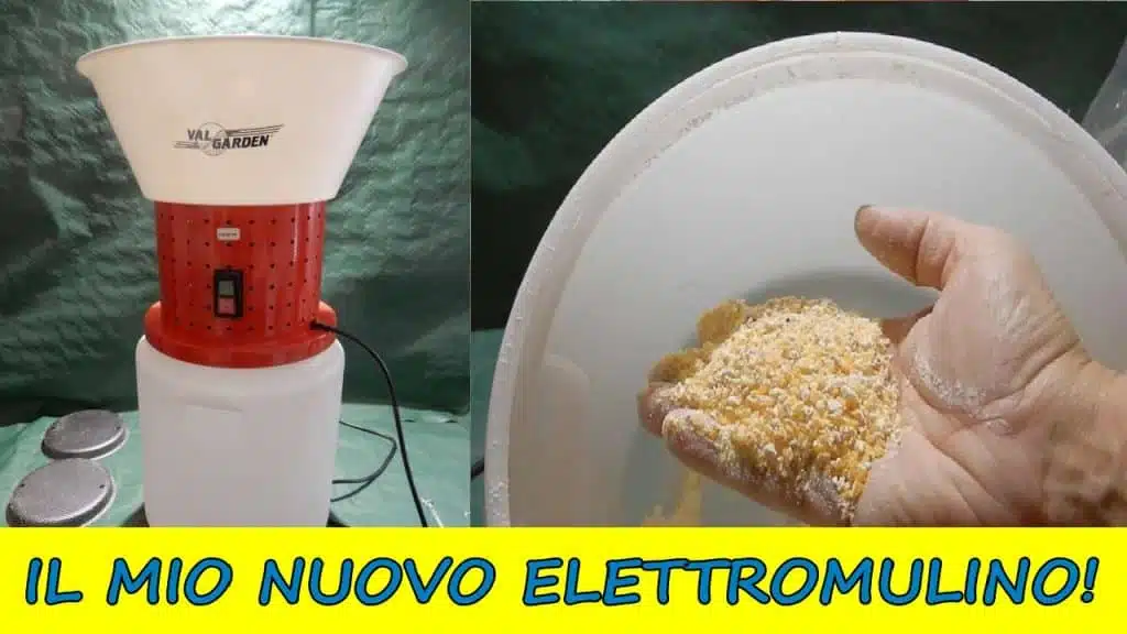 Video Test dell'elettromulino