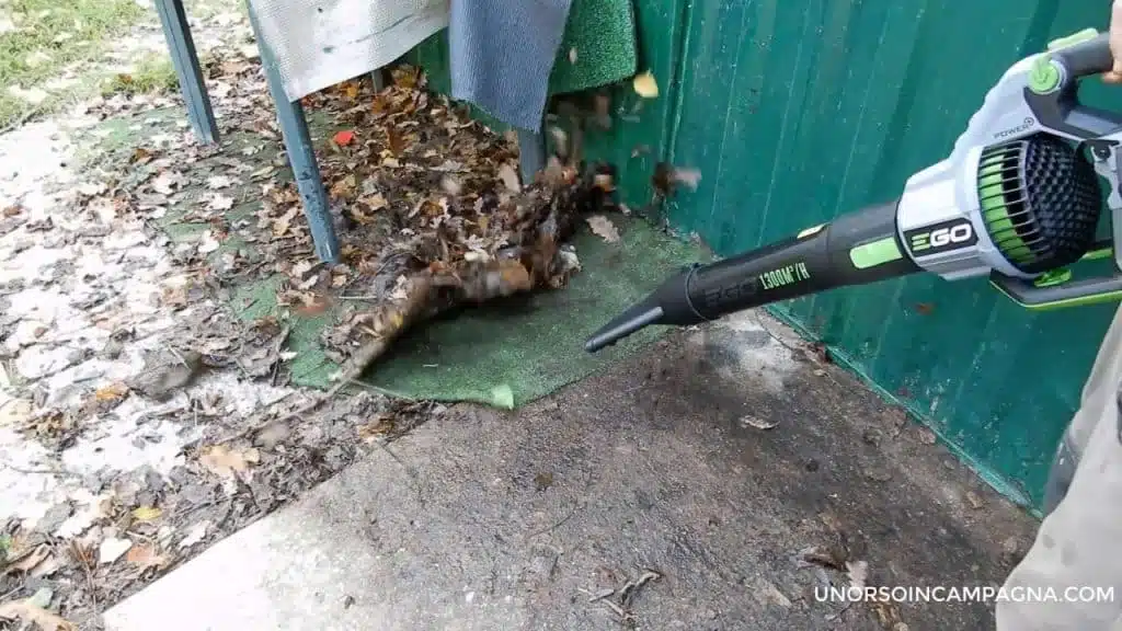 test soffiatore EGO Power Plus LB7650E