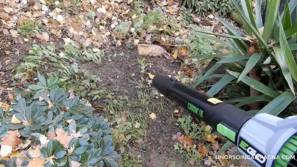 test soffiatore EGO Power Plus LB7650E