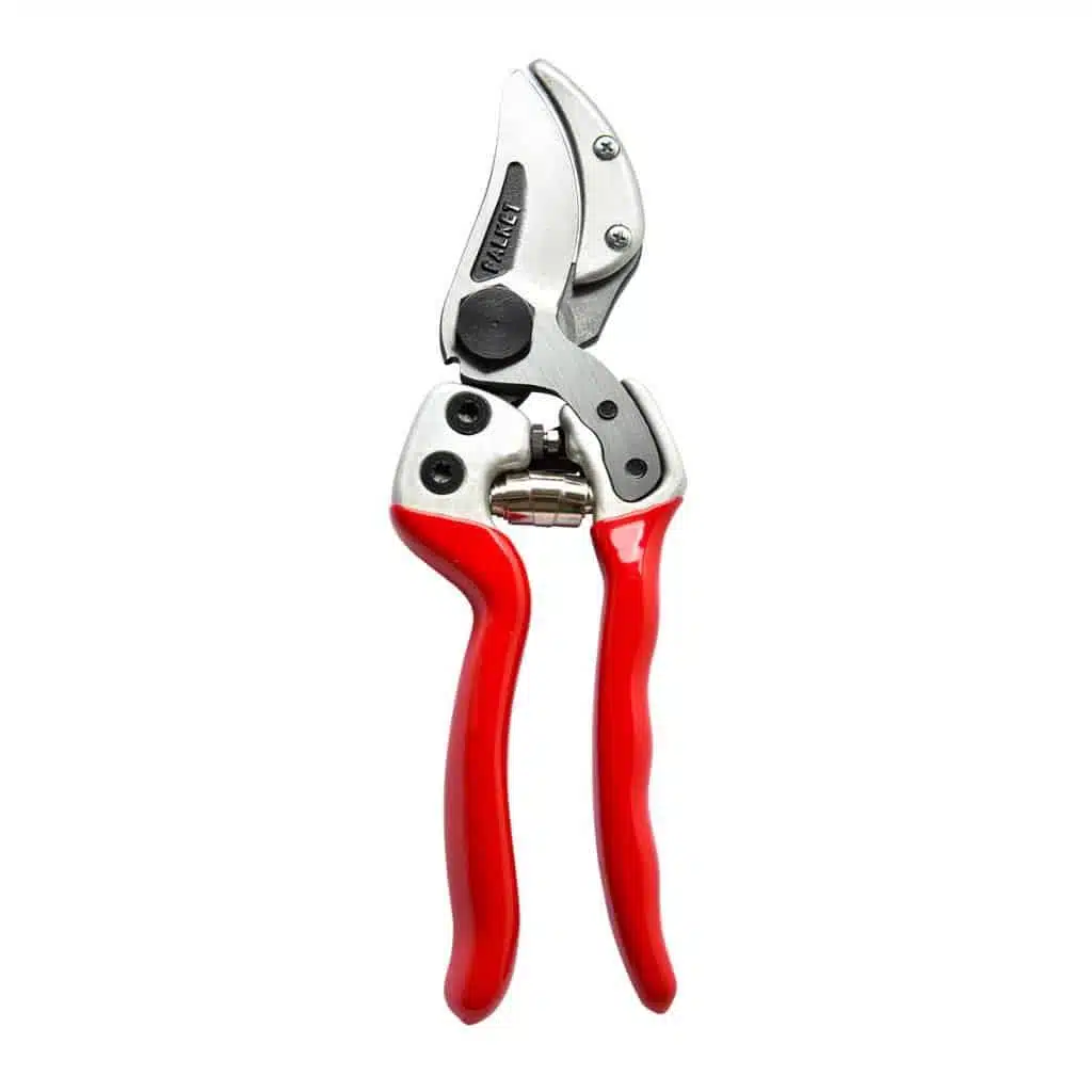 Forbici da potatura FALKET 1162 - 
