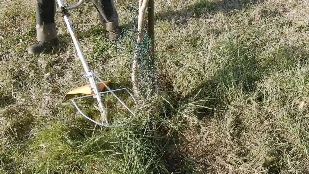 Test Salvacorteccia universale in acciaio 