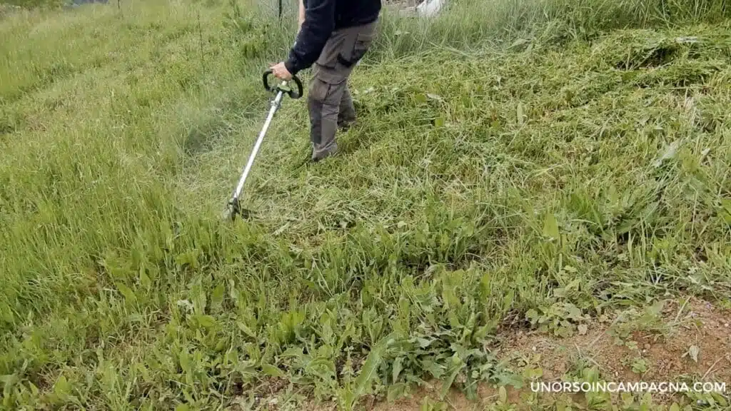 test decespugliatore EGO ST1610E-T 