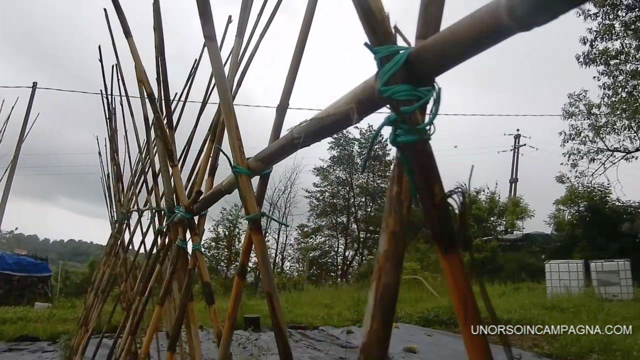 come si montano le canne per i pomodori 4