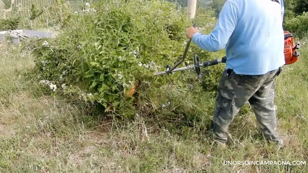 Disco Tsumura per rovi, erba e canne