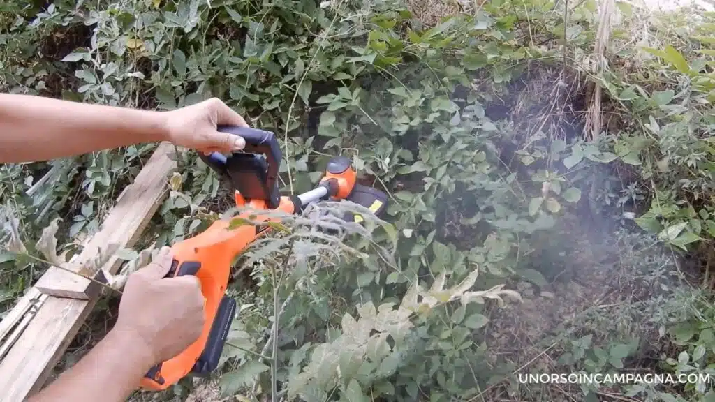 Tagliabordi a batteria ricaricabile AIVOLT - test su rovi