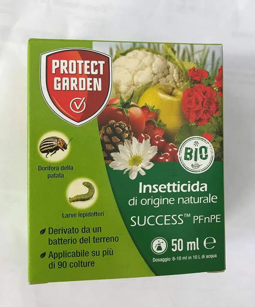 Tuta absoluta o tignola del pomodoro - Spinosad