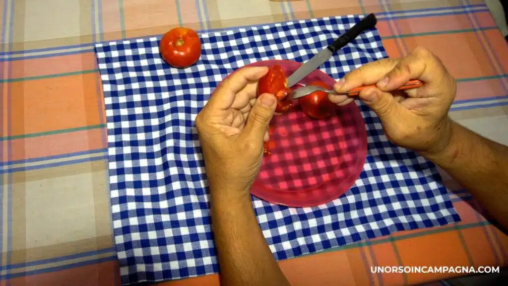 Come estrarre e salvare i semi di Pomodoro - estrazione dei semi