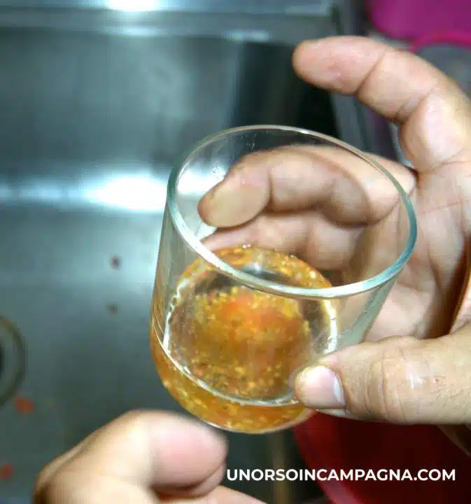 Come estrarre e salvare i semi di Pomodoro - fermentazione dei semi