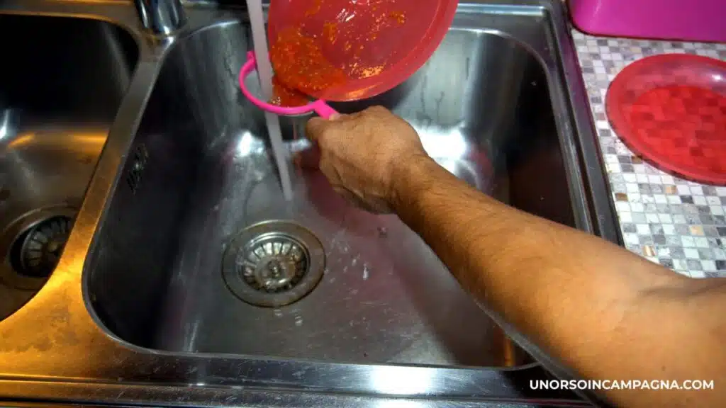 Come estrarre e salvare i semi di Pomodoro - lavaggio dei semi