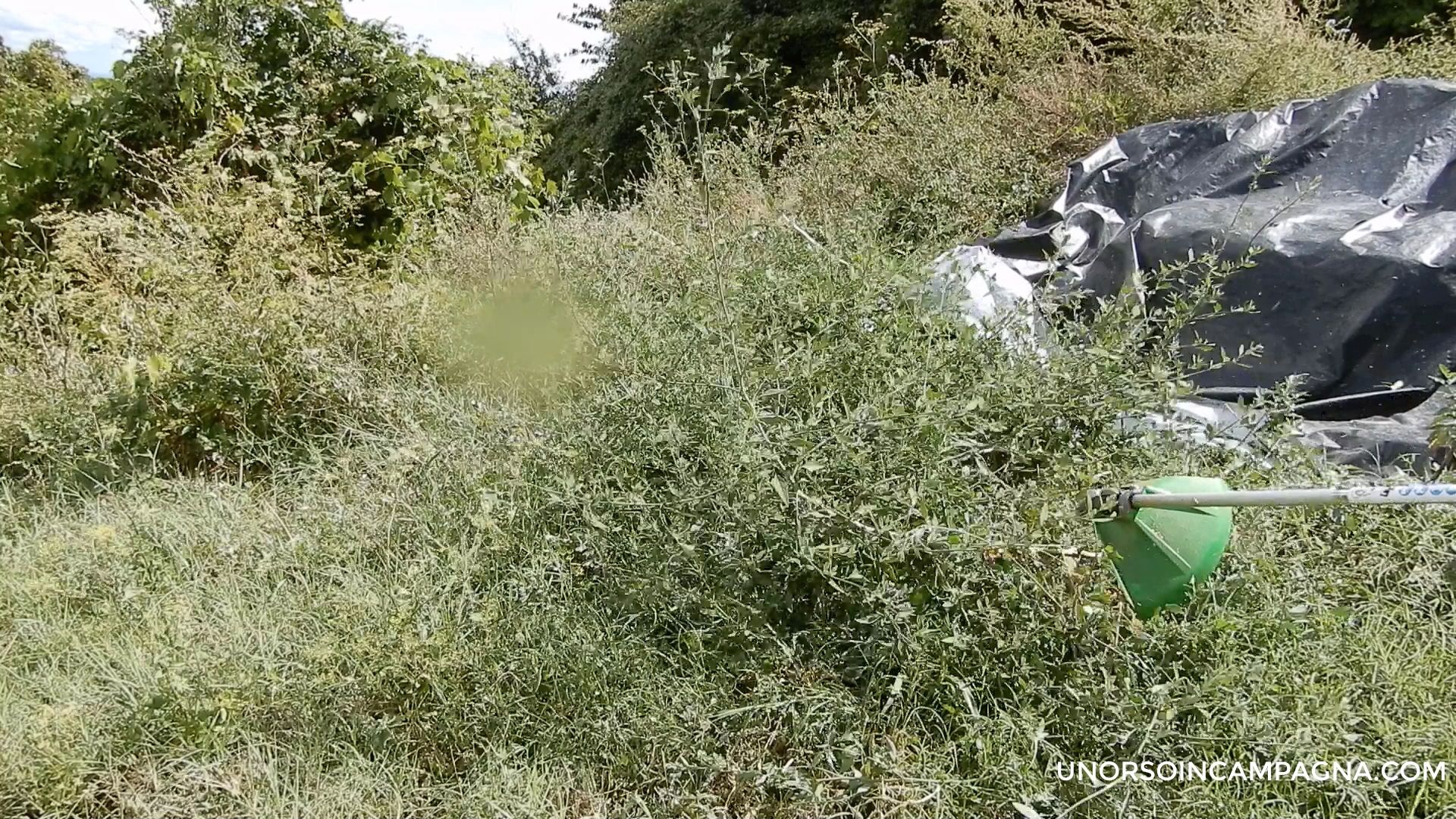 Filo Ritorto Resistente Filo Decespugliatore Nylon 3.0mm X 60m - 5 Bordi, Per Tagliabordi Elettrici Filo Per Decespugliatore - Foto 1