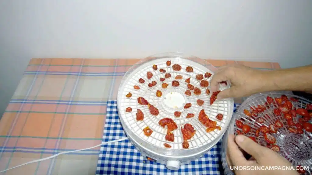 Essiccatore Babele Melchioni. Test con i pomodori!