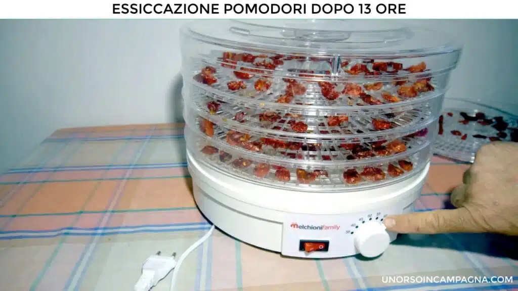 Essiccatore Babele Melchioni. Pomodori dopo 13 ore