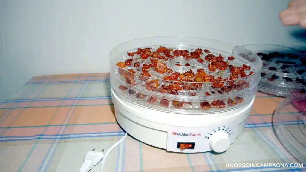 Essiccatore Babele Melchioni. Test con i pomodori finito
