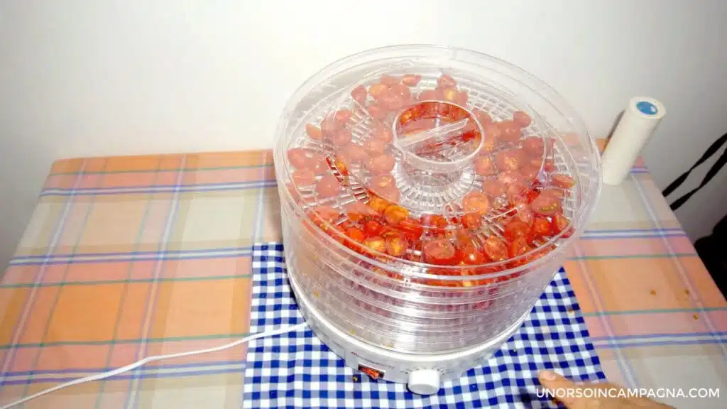 Essiccatore Babele Melchioni. Test con i pomodori!