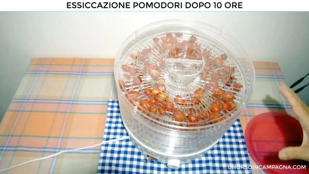 Essiccatore Babele Melchioni. Pomodori dopo 10 ore