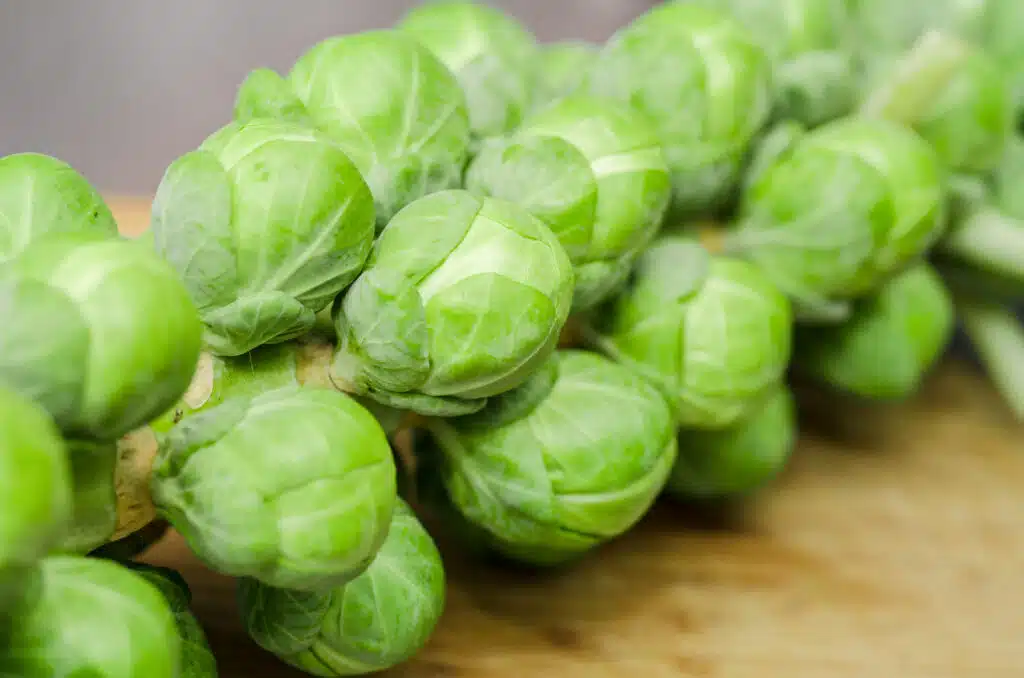 Orto invernale: come coltivare verdure fresche anche in inverno 8 Orto invernale: come coltivare verdure fresche anche in inverno - cavoletti di Bruxelles