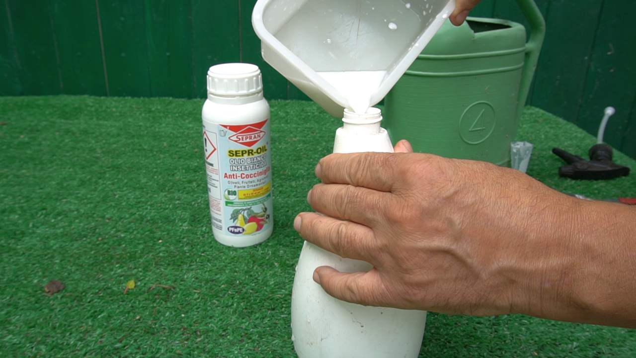 olio bianco per cocciniglia dosi